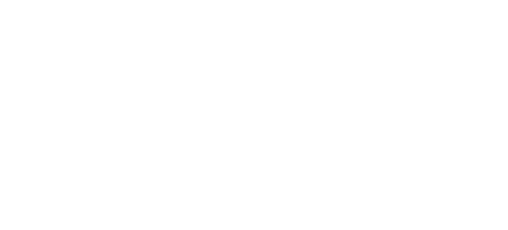CAnetix Logo